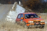 ralli