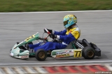 kart