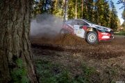 ralli