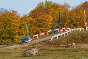 ralli