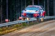 ralli