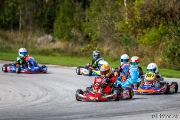 prokart