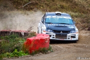 ralli