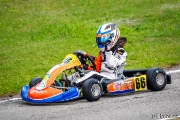 rotax