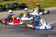 rotax