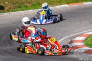 rotax