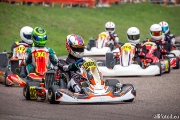 rotax