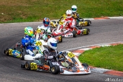 rotax