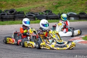 rotax