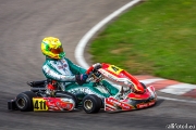 rotax