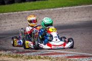 rotax