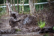 offroad