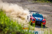 rallyestonia