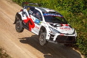 rallyestonia