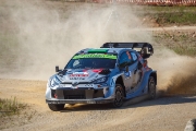 rallyestonia