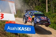 rallyestonia
