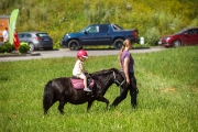 youngtimer