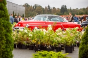 oldtimer