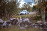 saareralli