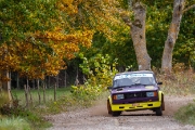 saareralli