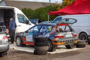 saareralli