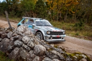 saareralli