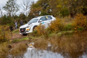 saareralli