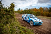 saareralli
