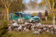 saareralli