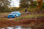 saareralli