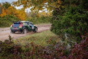 saareralli