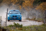 saareralli