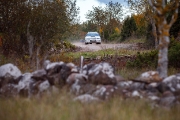 saareralli