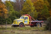 saareralli