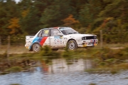 saareralli