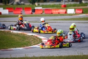 kardisport